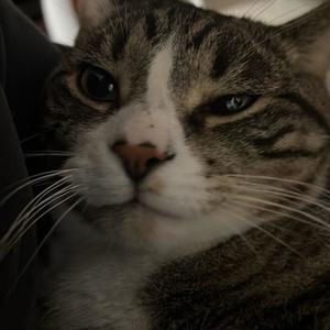 lifestyle (feat. Steezy Kai) (Explicit)