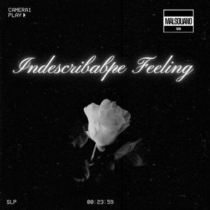 Indescribable Feeling (feat. SKN)