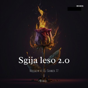 Sgija Leso 2.0