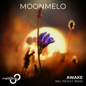 Awake (P.r.o.s.t. Remix)