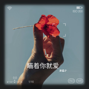 瞄着你就爱封面