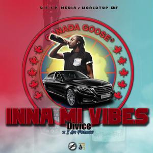 Inna Mi Vibes(feat. I Am France) (Radio Edit)