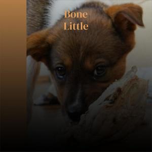 Bone Little