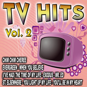 TV Hits Vol. 2