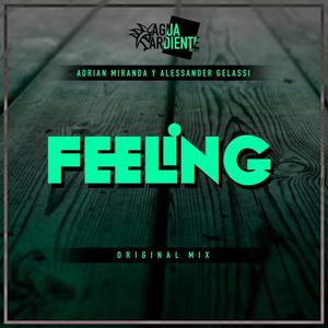 Adrian Miranda - Feeling