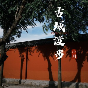 古城漫步·手碟曲 (Live)