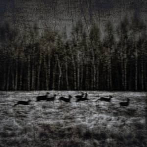 the endLess deLusiøn