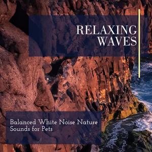 Relaxing Waves - Balanced White Noise Nature Sounds for Pets