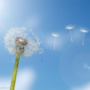 开往集宁师范学院的18路