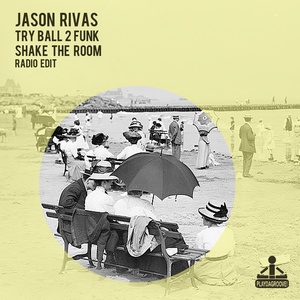 Shake the Room (Radio Edit)