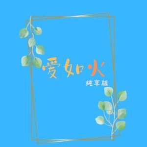 爱如火 (纯享版|DJ散人)