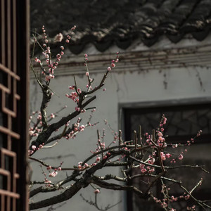 万籁听吹奏 支颐听秋水问蜉蝣