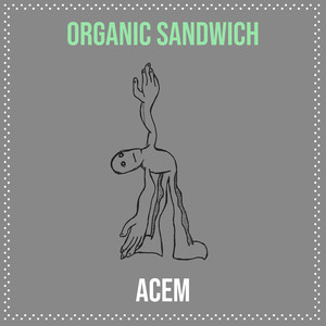 Organic Sandwich