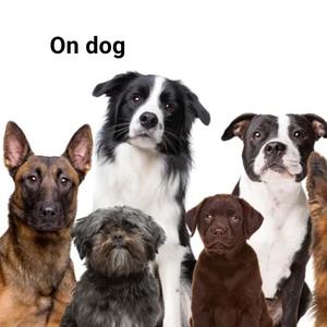 All My Dogs (feat. R3LINQ.U1SH, nocere.flp, J1TTER & aazre) (Explicit)