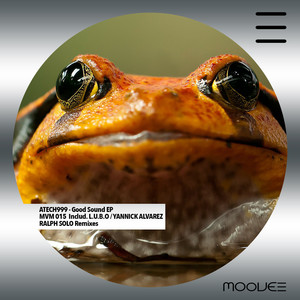 Good Sound (L.U.B.O Remix)