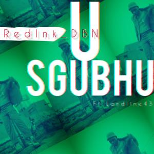 Sgubhu (feat. Landline43 & RedInk_DBN)