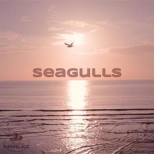 Seagulls