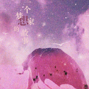 一个梦想家的故事
