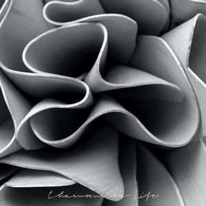 그런 나이라고 Burning Youth (feat. OHNEW)