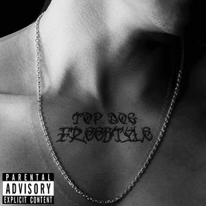 Top Dog Freestyle (feat. Dot Scotty & Kid Misfit) [Explicit]