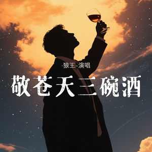敬苍天三碗酒 (DJ默涵版伴奏)