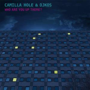 Who Are You Up There?