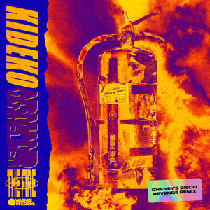 The Fire (CHANEY'S Disco Revenge Remix)