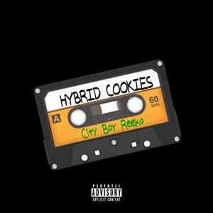 Hybrid Cookies (Explicit)