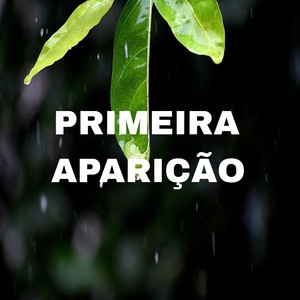 Primeira Aparição