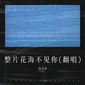 整片花海不见你 (Live)