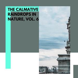 The Calmative Raindrops in Nature, Vol. 6