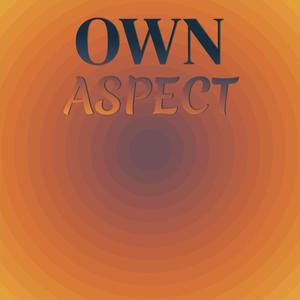 Own Aspect