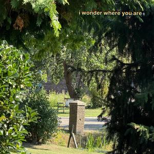 Wonder Where