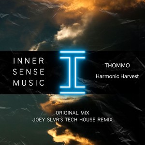 Harmonic Harvest (Original Mix)