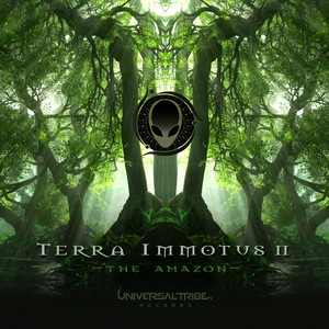 Terra Immotus 2