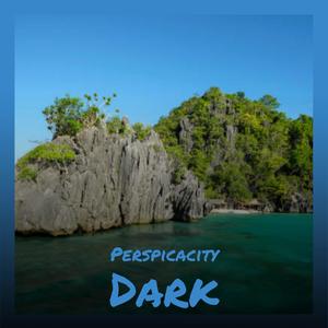 Perspicacity Dark