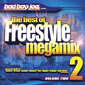 Freestyle Megamix 2 (Non-Stop Dj Mix)