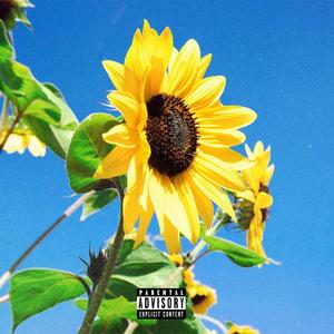 SHOW YOU OFF (Explicit)