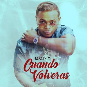 Cuando Volveras (feat. BONY)