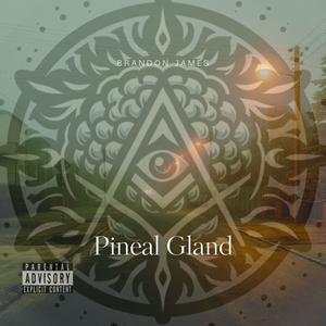 PINEAL GLAND (Explicit)