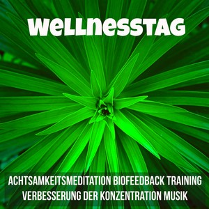 Wellnesstag - Achtsamkeitsmeditation Biofeedback Training Verbesserung der Konzentration Musik mit Natur New Age Geräusche