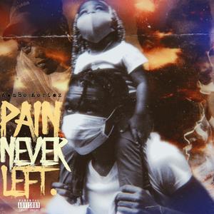 PAIN NEVER LEFT (Explicit)