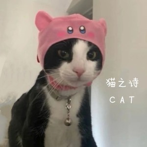 猫之诗（CAT）