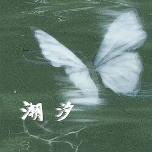 潮汐（空灵吟唱0.9x）