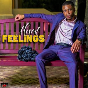 Mixed Feelings (Explicit)