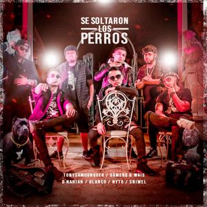 Se soltaron los perros (feat. Gamero & Wais, blanco el fantastico, Nyto, Sniwel & Dnahian)