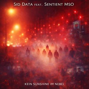 KEIN SUNSHINE IM NEBEL (Explicit)