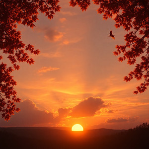 Lovely Evening