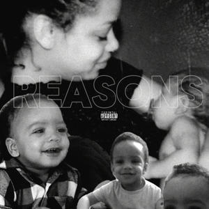 Reasons (Explicit)