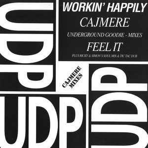 Feel It (Cajmere Underground Goodie Dub)